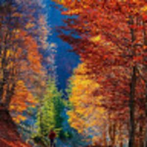 Meet your Posher, Eleshia